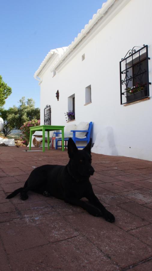 Casa del Cielo Frigiliana Exterior foto