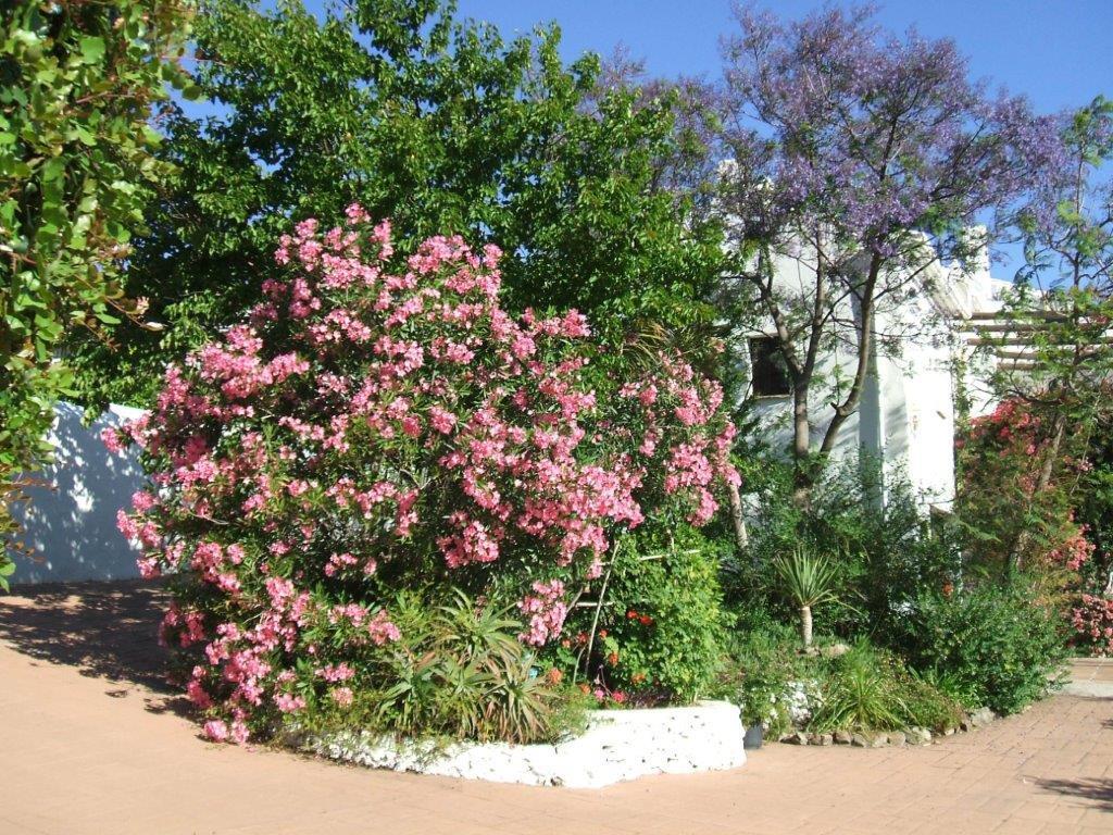 Casa del Cielo Frigiliana Exterior foto